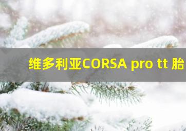 维多利亚CORSA pro tt 胎